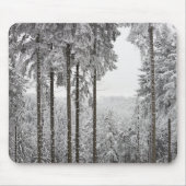 Tapis De Souris Forêt à feuillage persistant en hiver (Devant)