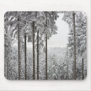 Tapis De Souris Forêt à feuillage persistant en hiver