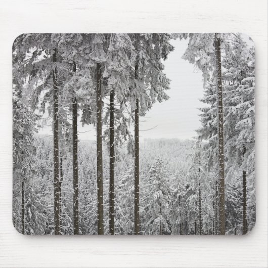 Tapis De Souris Forêt à feuillage persistant en hiver (Devant)