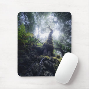Tapis De Souris Forêt   Anaga Parc rural Îles Canaries