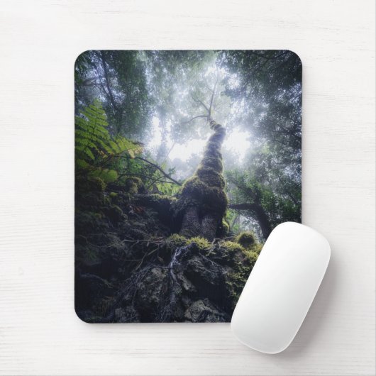Tapis De Souris Forêt | Anaga Parc rural Îles Canaries (Avec souris)
