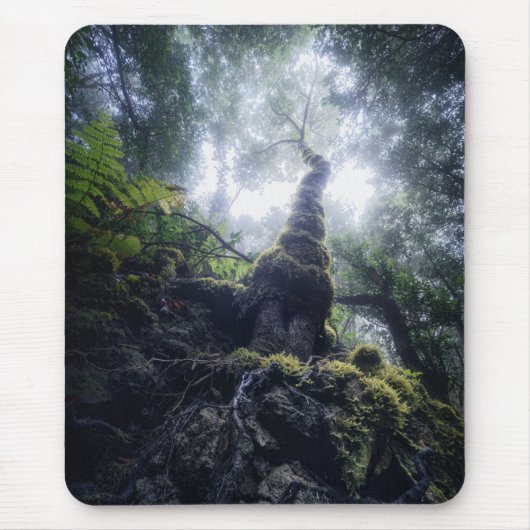 Tapis De Souris Forêt | Anaga Parc rural Îles Canaries (Devant)
