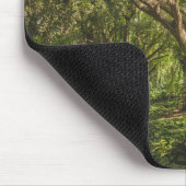 Tapis De Souris Forêt de Big Tree (Coin)