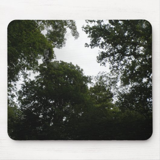 Tapis De Souris Forêt déplaisante Mousepad (Devant)