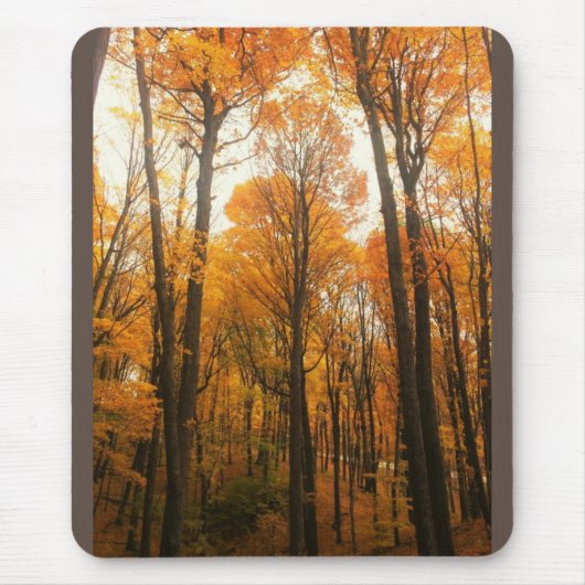 Tapis De Souris Forêt d'Orange (Devant)