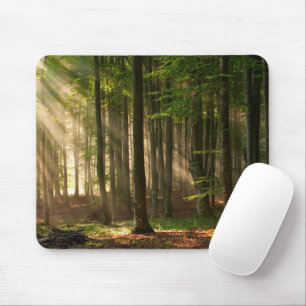 Tapis De Souris Forêt Forêt d'automne
