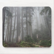 Forêt Nature