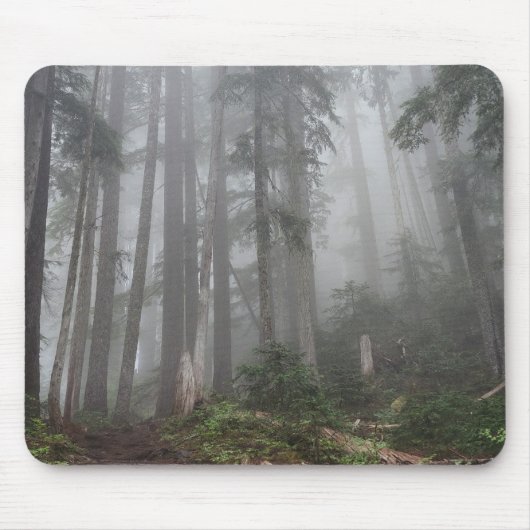 Tapis De Souris Forêt Nature (Devant)