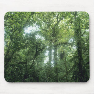 Tapis De Souris Forêt nuageuse de Monteverde, Costa Rica.