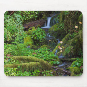 Tapis De Souris Forêt pluviale d'automne Parc national Olympique