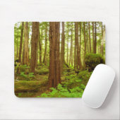 Tapis De Souris Forêt pluviale tempérée d'Alaska (Avec souris)