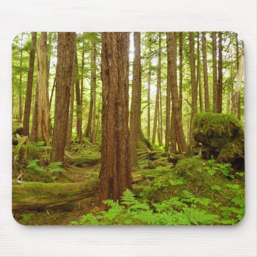 Tapis De Souris Forêt pluviale tempérée d'Alaska (Devant)