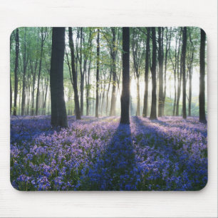 Tapis De Souris Forêt-souris