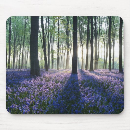 Tapis De Souris Forêt-souris (Devant)