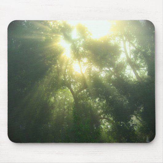 Tapis De Souris Forêt verte profonde - Mousepad (Devant)