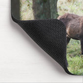 Tapis De Souris Forêt | Woodlands & Red Deer (Coin)