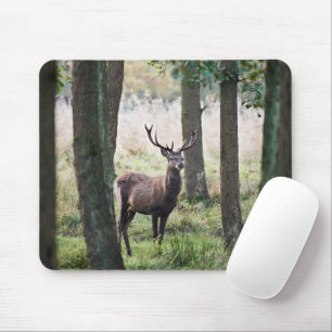 Tapis De Souris Forêt Woodlands & Red Deer