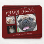Tapis De Souris Forever Friends Pet Photo Collage<br><div class="desc">3 photo peigne collage souris pavé modèle est facile à utiliser. Tout le texte peut facilement être modifié. Idéal pour l'amoureux des animaux de compagnie dans votre vie.</div>