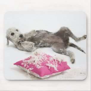Tapis De Souris Formation de comportement de chien