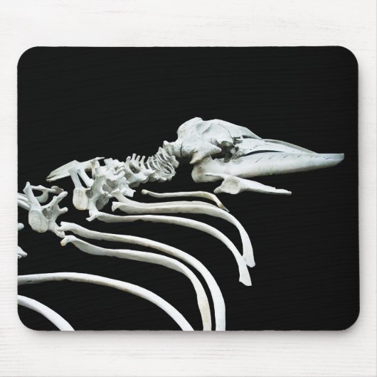 Tapis De Souris Fossile de baleine grise (Devant)