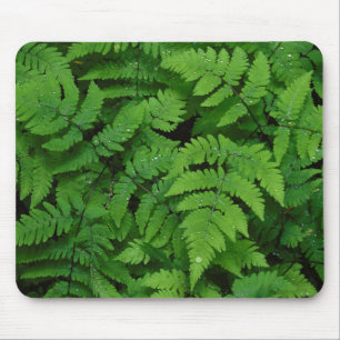Tapis De Souris Fougère bracken avec gouttes de pluie, État de Was