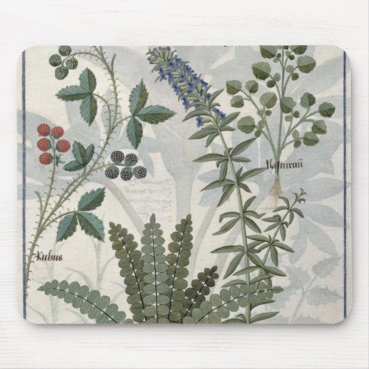 Tapis De Souris Fougères, mûres et fleurs (Devant)