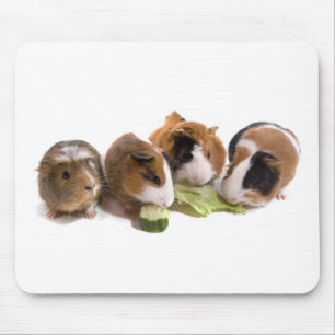 Tapis De Souris four guinea pigs who eat,