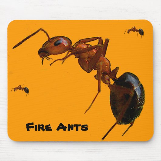 Tapis De Souris Fourmis de feu (Devant)