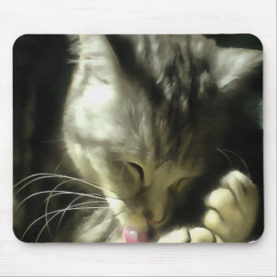 Tapis De Souris Fourrure Douce Et Douce Et Purée D'Un Chat Gris