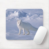 Tapis De Souris Fox arctique (Avec souris)