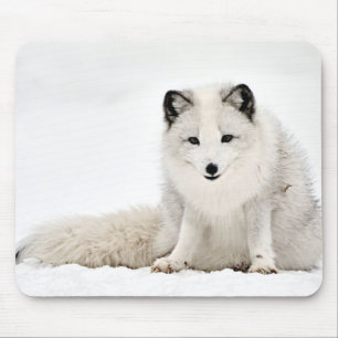 Tapis De Souris Fox arctique dans la neige