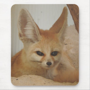 Tapis De Souris Fox de Fennec