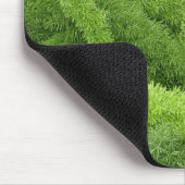Tapis De Souris Foxtail Fern, Asparagus densiflorus myers (Coin)
