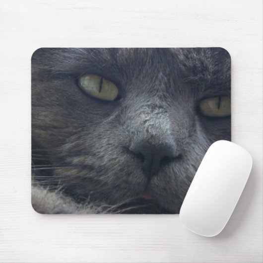 Tapis de souris frais de visage de chat (Avec souris)