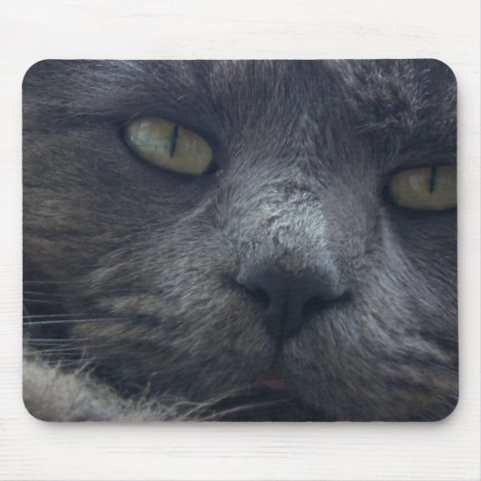 Tapis de souris frais de visage de chat (Devant)