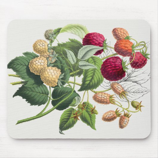 Tapis De Souris fraise vintage (Devant)