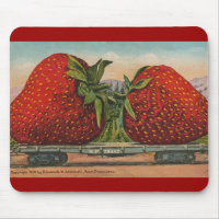 Fraises Giant Fruit Antique Fruit Amusant