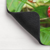 Tapis De Souris Fraisier commun 1 (Coin)