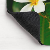 Tapis De Souris Frangipani blanc (Coin)