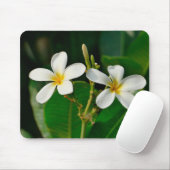 Tapis De Souris Frangipani blanc (Avec souris)