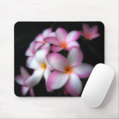 Tapis De Souris Frangipani en fleur (Avec souris)