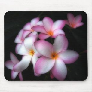 Tapis De Souris Frangipani en fleur