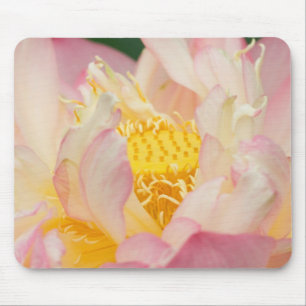 Tapis De Souris Franklin NC, jardin d'eau de Perry, Lotus avec