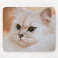 Freddie le grand Mousepad