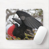 Tapis De Souris Frégate superbe (Avec souris)