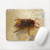 Tapis de souris frelon asiatique (Avec souris)