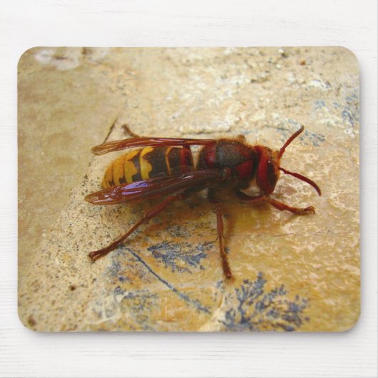 Tapis de souris frelon asiatique (Devant)