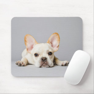 Tapis De Souris French Bulldog Lying Down