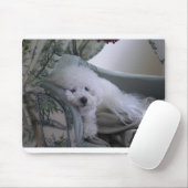 TAPIS DE SOURIS FRISE DE BICHON (Avec souris)