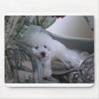 TAPIS DE SOURIS FRISE DE BICHON